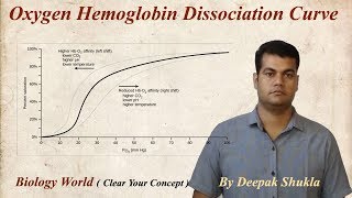 Oxygen Haemoglobin Dissociation Curve  Oxyhaemoglobin Dissociation Curve [upl. by Mccowyn]