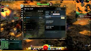 Guild Wars 2 Farming Guide  5g An Hour Level 80 [upl. by Ikir]