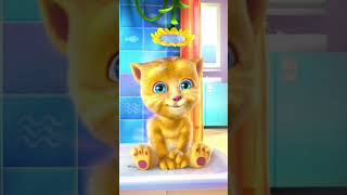 Catooni video Bill cat cat catart catart catcartoon viralvideo [upl. by Zela]