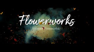 Exploding Flower Fireworks [upl. by Fanchet]