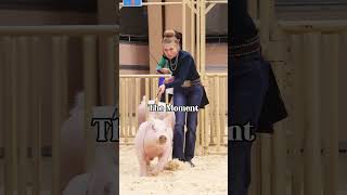 The Moment and the Picture Karis Showing pigs in Hog showmanship showpigs livestockphotography [upl. by Attenrev631]