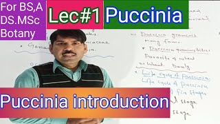 Introduction to puccinia [upl. by Ultann166]