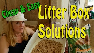 Large Cat Litter Box Solutions  Five Tips to Help with Mess Cost and Smell [upl. by Miof Mela]