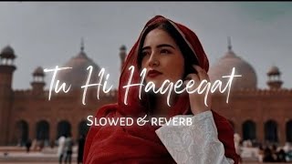 tu hi Haqeeqat lofi solwed reviews solwed lofi video [upl. by Enelrihs]