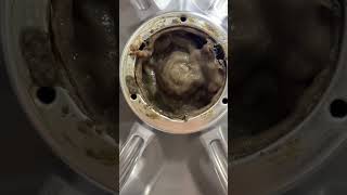 CLEAN YOUR WASHER OMG 😭😭😭  equestrain trending cleaning psa shorts important goviral [upl. by Nuhsyar342]