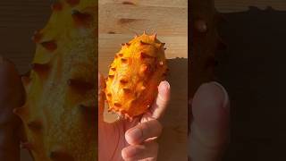 African Horned Cucumber Melon  Riana Lynn  Discover Fruits fruits africa bourdain explorer [upl. by Naarah787]