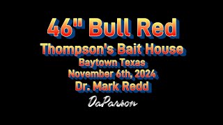 46quot Bull Red  Tabbs Bay  Thompsons Bait Camp  Baytown Texas  November 6th 2024 [upl. by Feeley]