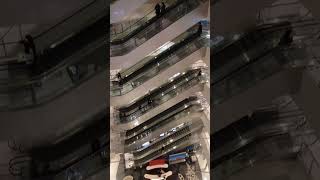 Shinsegae Centum City Escalator Busan Haeundae the worlds largest department store [upl. by Patricio]