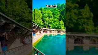 verinag kashmir source jehlum tum atifaslam [upl. by Shreve]