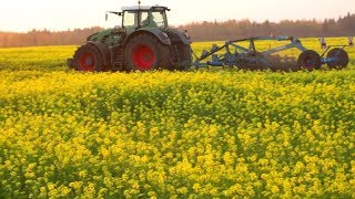 Fendt 936 Vario cultivating with Lemken Rubin 9 [upl. by Parthen416]