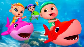 Baby Shark Dance Compilation  Kids Songs and Nursery Rhymes  Baby SumoCoco [upl. by Uwkuhceki]