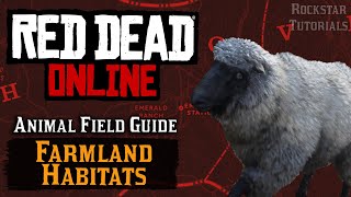 Red Dead Online All Farmland Habitats Animal Field Guide [upl. by Oiragelo831]