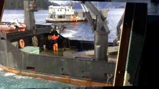 Sitka Herring 2014  First Opener [upl. by Adnol]