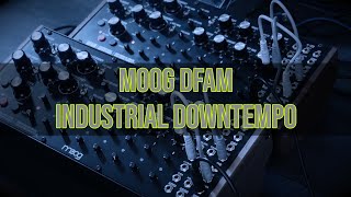 Moog DFAM industrial downtempo [upl. by Ithsav]