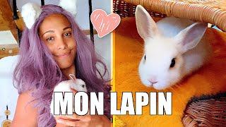 JE VOUS PRÉSENTE MON LAPIN [upl. by Halli]