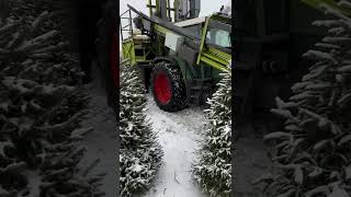 Christmas trees packing in Lithuania [upl. by Coulter]