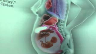 Internal Organs Throughout Pregnancy [upl. by Ardnaet119]