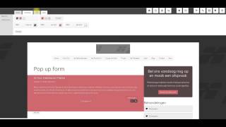 Pop up form maken voor op je wordpress website [upl. by Lahtnero]