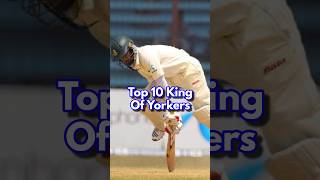 Top 10 King Of Yorkers In Cricket History [upl. by Pollack577]