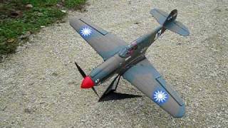 EFlite P40 Warhawk 300 ARF with Rudder Mod [upl. by Howlan848]