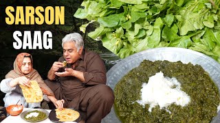 Sarson Ka Saag  Gandal Ka Saag  Mustard Greens Recipe  Mustard Leaves Recipe [upl. by Joellen980]