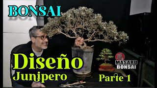 COMO EMPEZAR UN BONSAI  DISEÑO DE JUNIPERO CHINENSIS [upl. by Aerised816]