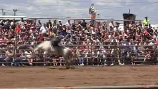 FrogFest  25  Painted Pony Rodeo Bronc Riding [upl. by Adnawed]