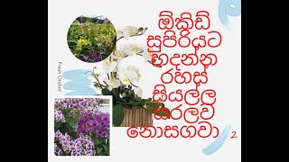 How to plant orchid sinhala ඕකිඩ් සිටුවීම හරියටම  2 [upl. by Isnan]