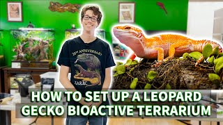 How to set up a Leopard gecko BioActive terrarium [upl. by Silrak]