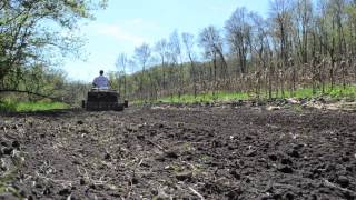 Deer Food Plots in Seven Easy Steps  Tractor Supply Co [upl. by Cathyleen]