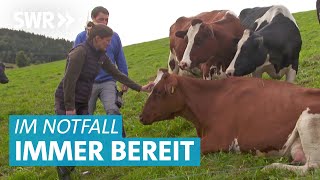 Tierarzt Doku – Geburtshilfe bei der Kuh und Kastration bei den Ziegen [upl. by Perice]