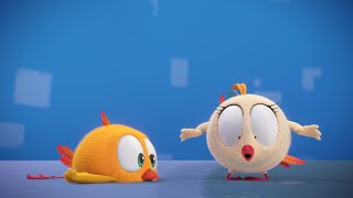 Wheres Chicky Funny Chicky 2022 ❄️ ICESKATE  Chicky Cartoon in English for Kids [upl. by Ybbob]