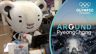 Being Soohorang the Mascot of the Winter Olympics  Around PyeongChang [upl. by Sidwohl]