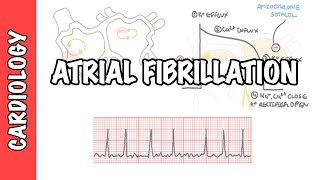 Atrial Fibrillation Overview  ECG types pathophysiology treatment complications [upl. by Bax]