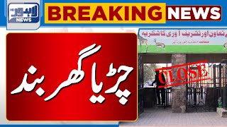 Lahore Zoo to be Closed  Breaking News  Lahore News HD [upl. by Boar]