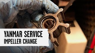 How to Replace Yanmar Impeller [upl. by Fang]