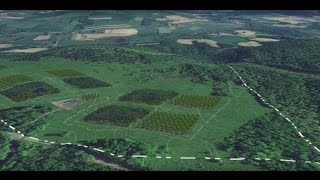 10000 Chestnut Challenge A Restoration Forest [upl. by Lleneg417]