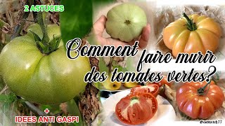 Tomates comment faire murir rougir les tomates vertes Test 2 astuces  recettes antigaspi [upl. by Jos]