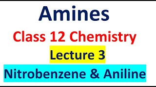 Aniline  Nitrobenzene  Class 12 Board Exam  NEET Chemistry  IIT JEE Chemistry  JEE Chemistry [upl. by Kyrstin532]