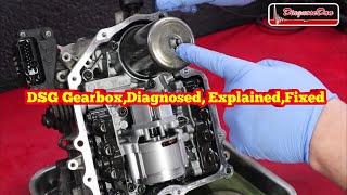 DSG Gearbox Diagnosed explained Fixed [upl. by Melessa]