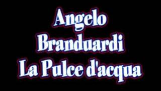 Angelo Branduardi  La Pulce dacqua  cover by Tek [upl. by Llibyc]