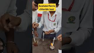 Acetate test experiment reels chemistry [upl. by Yssirc]