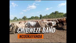 CHIBWEZE BAND NCOOKAYANDA [upl. by Junno]