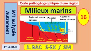 Sédimentation dans les milieux marins et niveau de compensation des carbonates CCD [upl. by Bartolomeo]