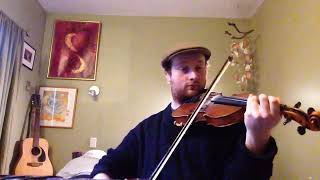 The Blackthorn Stick  Day 325  366 Days of Fiddle Tunes [upl. by Clemence]