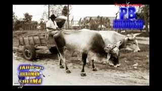 Historia del Jaripeo Charreria Rodeo americano y de Rcho La Herradura [upl. by Atinet]