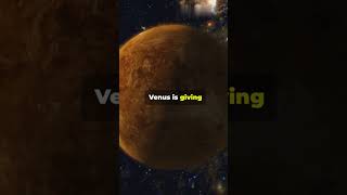 NASA Parker Solar Probe Venus Flyby Today [upl. by Kat]