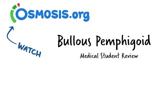 Bullous Pemphigoid Osmosis Study Video [upl. by Lanford480]