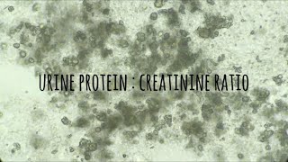 Urine protein creatinine ratio [upl. by Aryn]