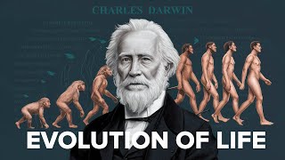 The Evolution of Life Understanding Darwins Theory Natural Selection and Speciation [upl. by Foster422]